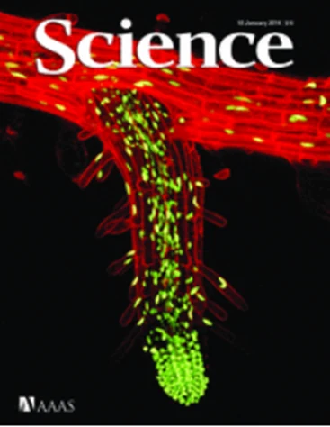 Science cover